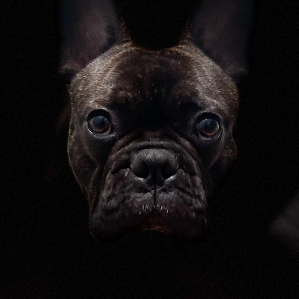 Meet your Posher, Elvia